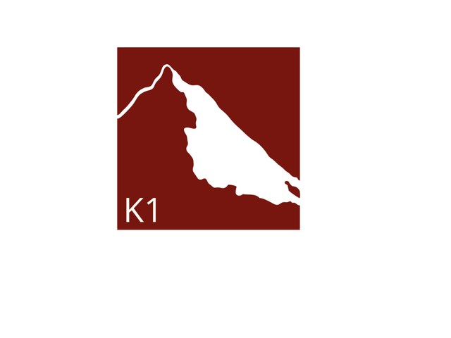 k1 investment management